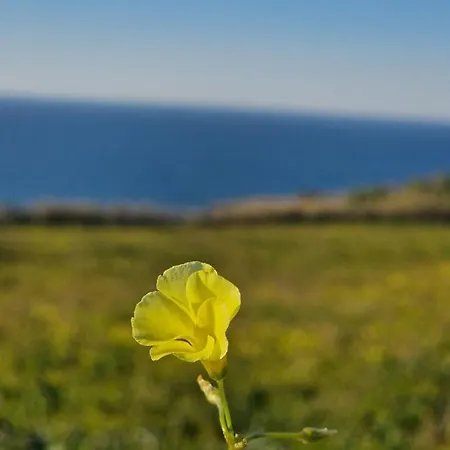 Casa vacanze Bouro's Cliff Serra do Bouro
