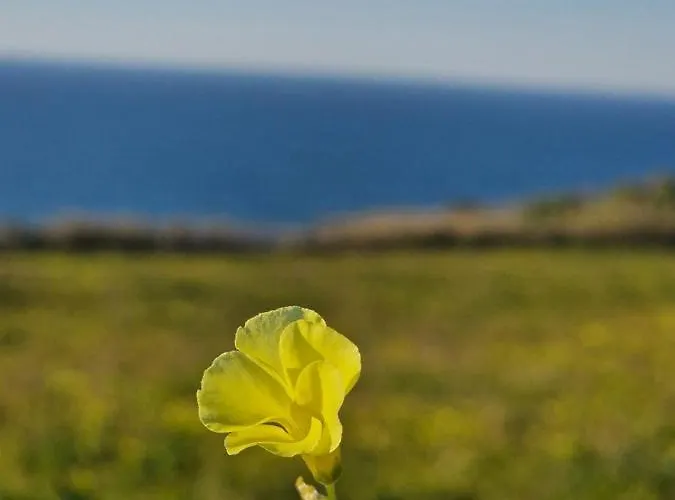 Semesterbostad Bouro's Cliff Serra do Bouro